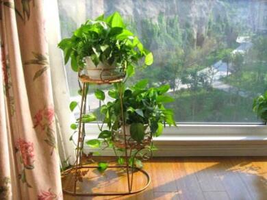 家具裝修，人們常犯三個(gè)的錯(cuò)誤！