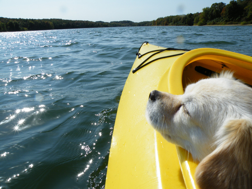 微信移動(dòng)辦公：不當(dāng)傳話筒，當(dāng)解決問(wèn)題小能手